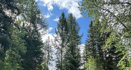 Charming three bedroom near Glacier National Park