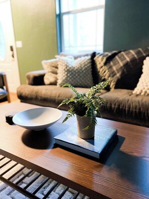 Smart TV, chimenea y libros 