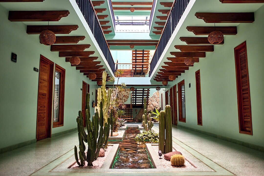 A corridor with wooden beams, a glass ceiling, and a variety of cacti and plants.