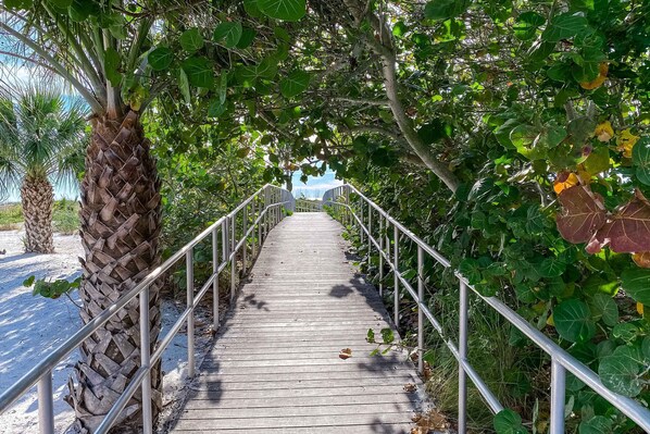 Property grounds - Brand new condo steps to beach with balcony heated pool and hot tub dog friendly (Madeira Beach)