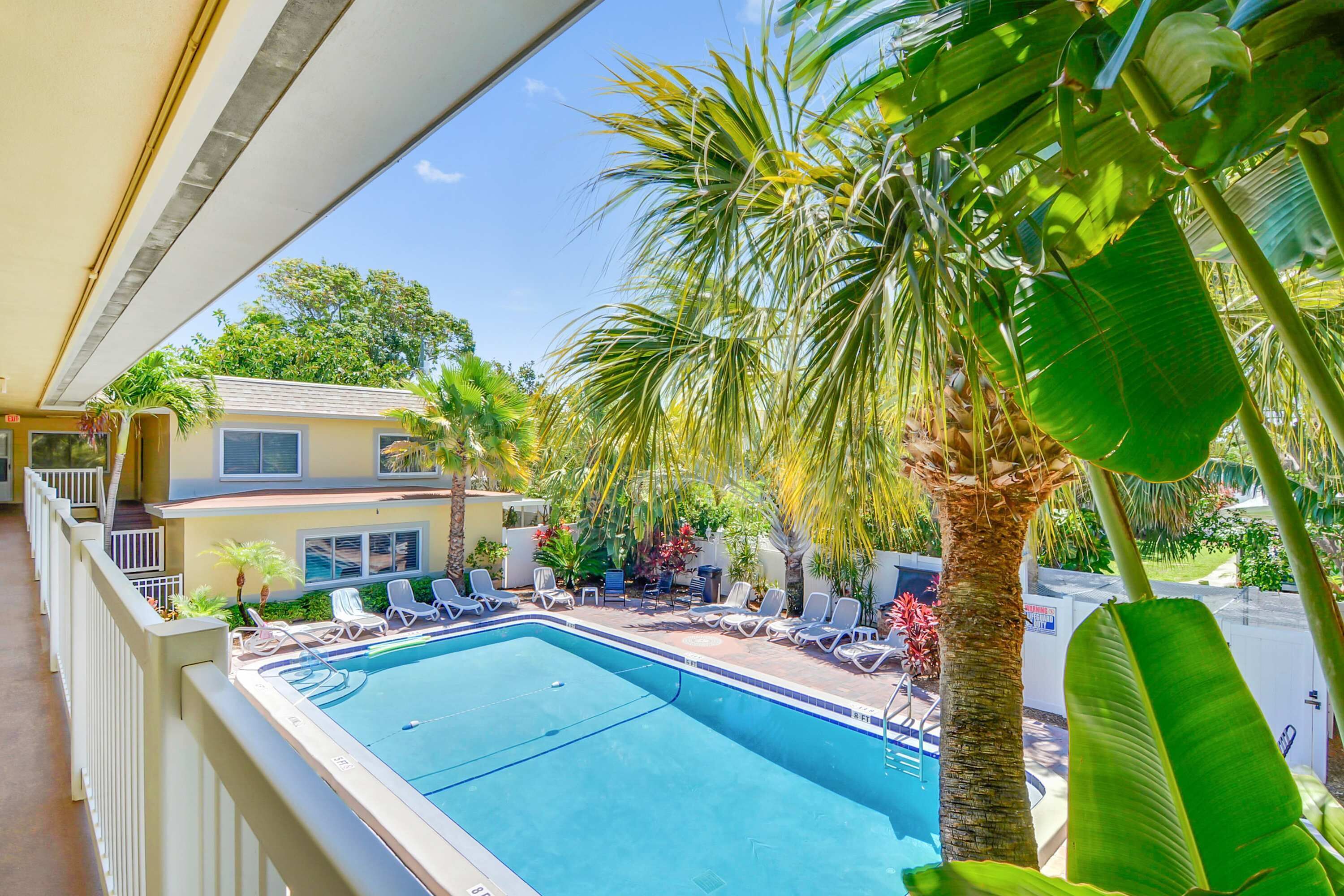 Ein Pool mit Liegestühlen und Palmen.