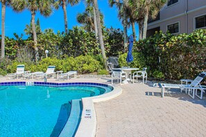 A swimming pool with lounge chairs and umbrellas, surrounded by palm trees and a building. - Chic and comfortable Gulf front condo snowbird and dog friendly pool beaches (Belleair Beach)