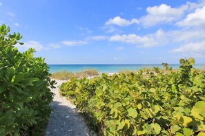 A pathway leading to a beach with dense green foliage on both sides. - Gulf front condo with pool amazing views and central AC dog friendly (Belleair Beach)