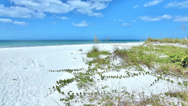 Una playa de arena blanca con vegetación escasa.