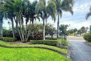 A paved pathway leading to a gated entrance with palm trees and manicured hedges.
