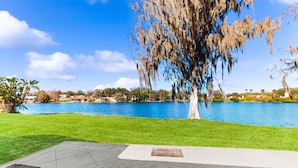 A park with a paved walkway, a tree with Spanish moss, and a lake in the background. - Riverfront home near downtown Tampa with panoramic river views streaming WD (Tampa)