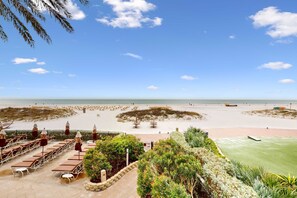 A beachside resort with lounge chairs and umbrellas, a grassy area, and a view of the sea. - City View condo with beach access pools hot tub gym AC and WD (Clearwater)