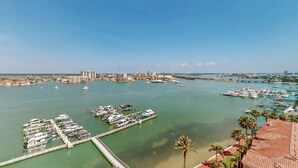 A marina with numerous boats docked, a clear sky, and a cityscape in the background. - Luxury stunning waterfront condo Central AC pool snowbird friendly (Clearwater)