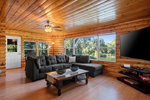 TV, fireplace, books