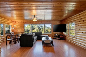 Télévision, cheminée, livres