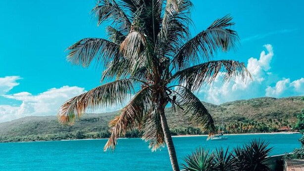 Una piscina azul cristalina con una palmera y vista a una isla distante.