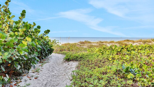 En sti langs en sandstrand med frodig grøn vegetation til venstre og et klart havudsigt i baggrunden.
