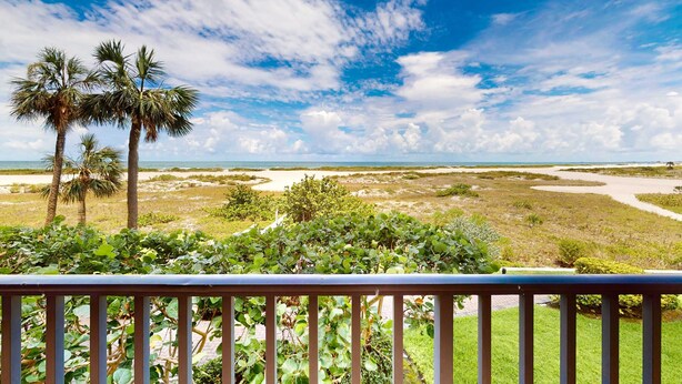 A coastal landscape with palm trees and a clear sky.