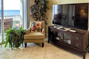 تلفزيون، مشغل دي في دي