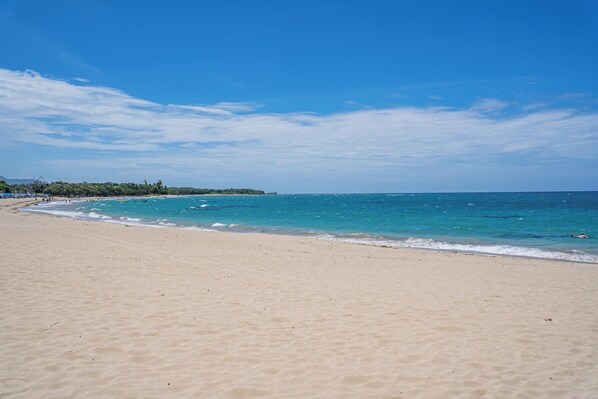 Plage à proximité, chaises longues, serviettes de plage