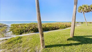 A pathway leading to a beach with palm trees and a clear sky. - Delightful condo with beach and pool access washer dryer (Belleair Beach)