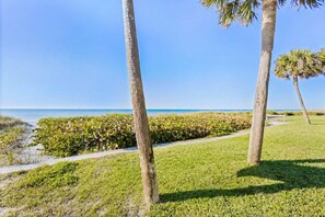 A pathway leading to a beach with palm trees and a clear sky.