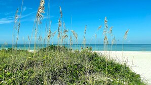 Una playa con hierba alta en primer plano y un cielo azul despejado.