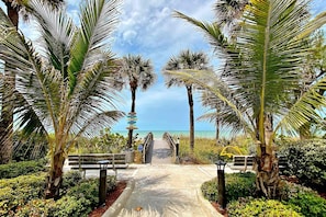 A pathway leading to a beach with palm trees and a signpost. - Gulf front steps to the beach snowbird and family friendly pool AC and WIFI (Indian Rocks Beach)