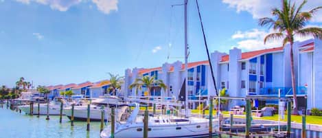 Un puerto deportivo con barcos amarrados, un edificio de fachada azul y blanca y palmeras.