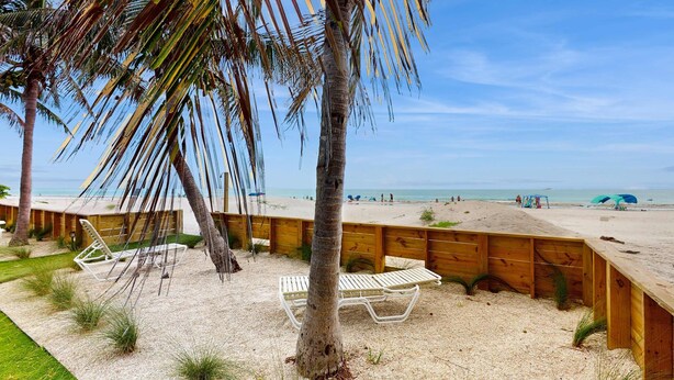Un espace aménagé au bord de la plage, avec une terrasse en bois, des chaises longues blanches et un palmier.