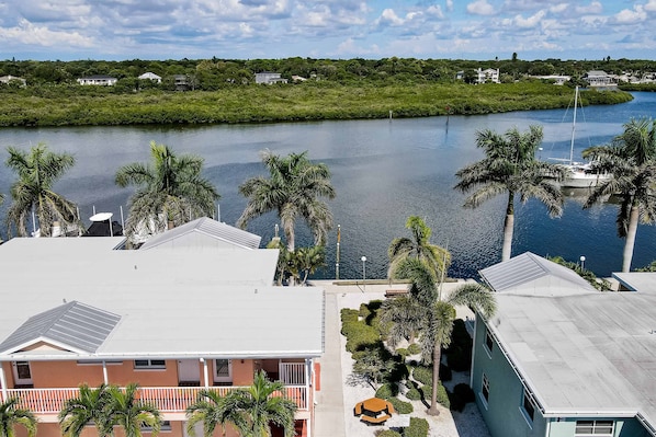 A residential area with houses, a body of water, and palm trees. - 1st floor condo with private dock easy beach access heated pool and patio (Indian Shores)
