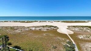 A beach with a clear sky, sandy areas, and sparse vegetation.