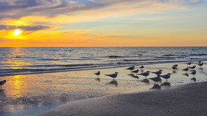A beach scene with seagulls at sunset.
