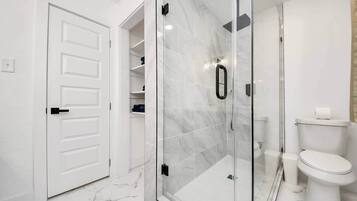 Shower, hair dryer, toilet paper