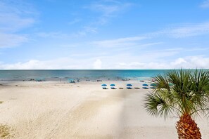 A beach with clear skies, a sandy shore, and a palm tree.