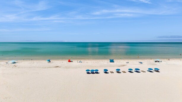 A beach with white sand and a calm sea. There are several blue umbrellas and lounge chairs arranged on the sand. - Dreamy condo with panoramic Gulf vIews and beachfront heated pool and spa (Indian Shores)