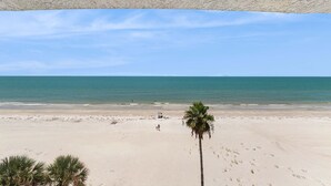 Ein Strand mit einer Palme und blauem Himmel.