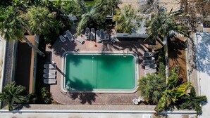 An aerial view of a swimming pool surrounded by lounge chairs and palm trees, with a brick pathway leading to the pool. - Quiet Waves 20 Condo with Pool Steps to Dining Shopping and St Pete Beach (St. Pete Beach)