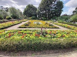 Property grounds - Nice cosy apartment (London)