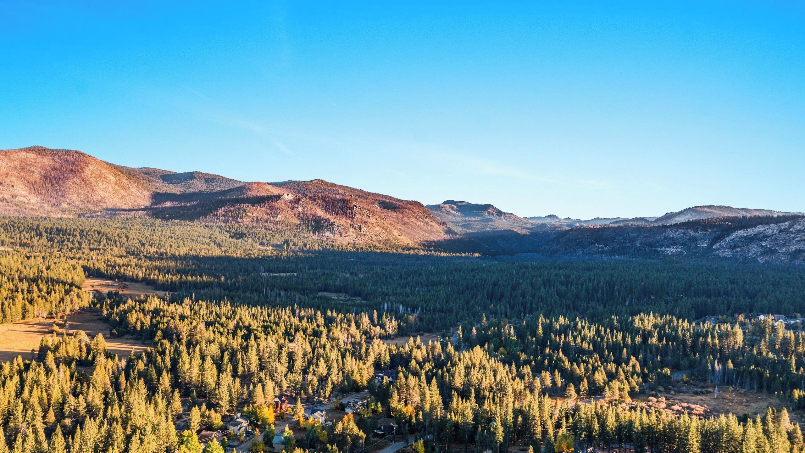 A mountainous landscape with dense forests and a small settlement.