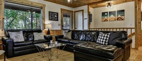 Smart TV, fireplace, ping pong, books