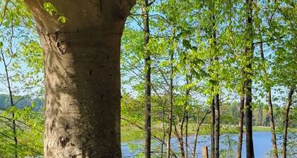 Quaint family cottage along Piscataway Creek
