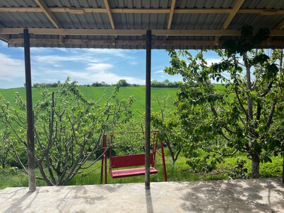 La Casa de Habel