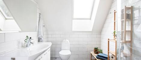 Dusche, Haartrockner, Handtücher
