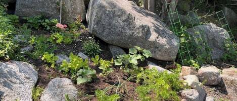 Overnatningsstedets område