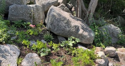 Unique private room and bath