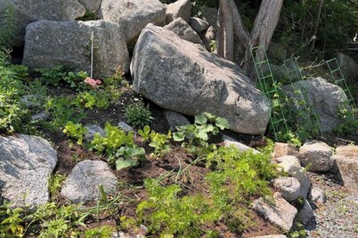Unique private room and bath