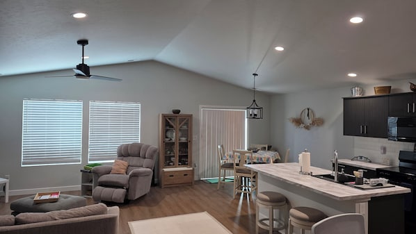 Smart TV, fireplace, books, music library