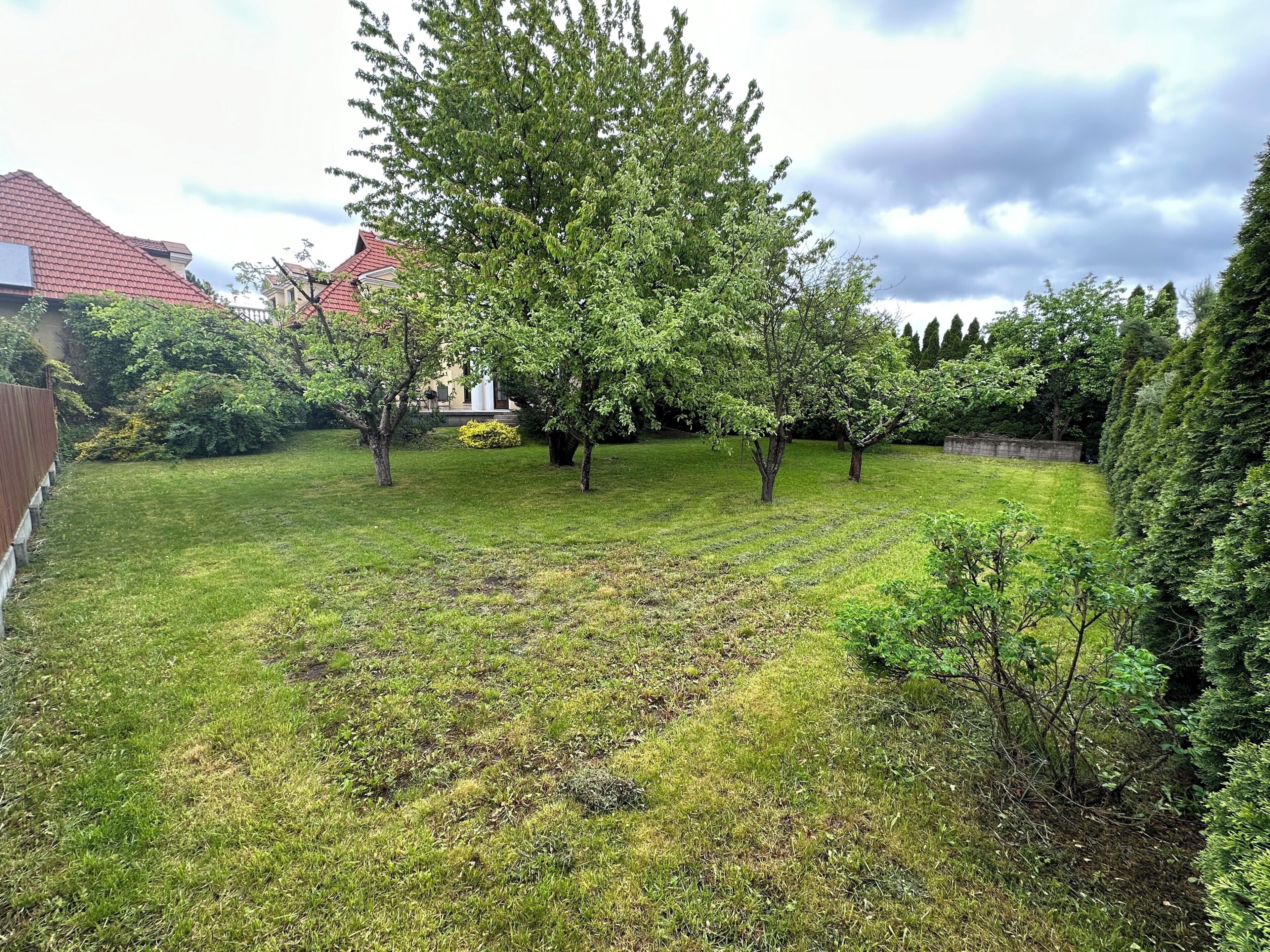 Une cour arrière verdoyante, avec des arbres et une maison en arrière-plan.