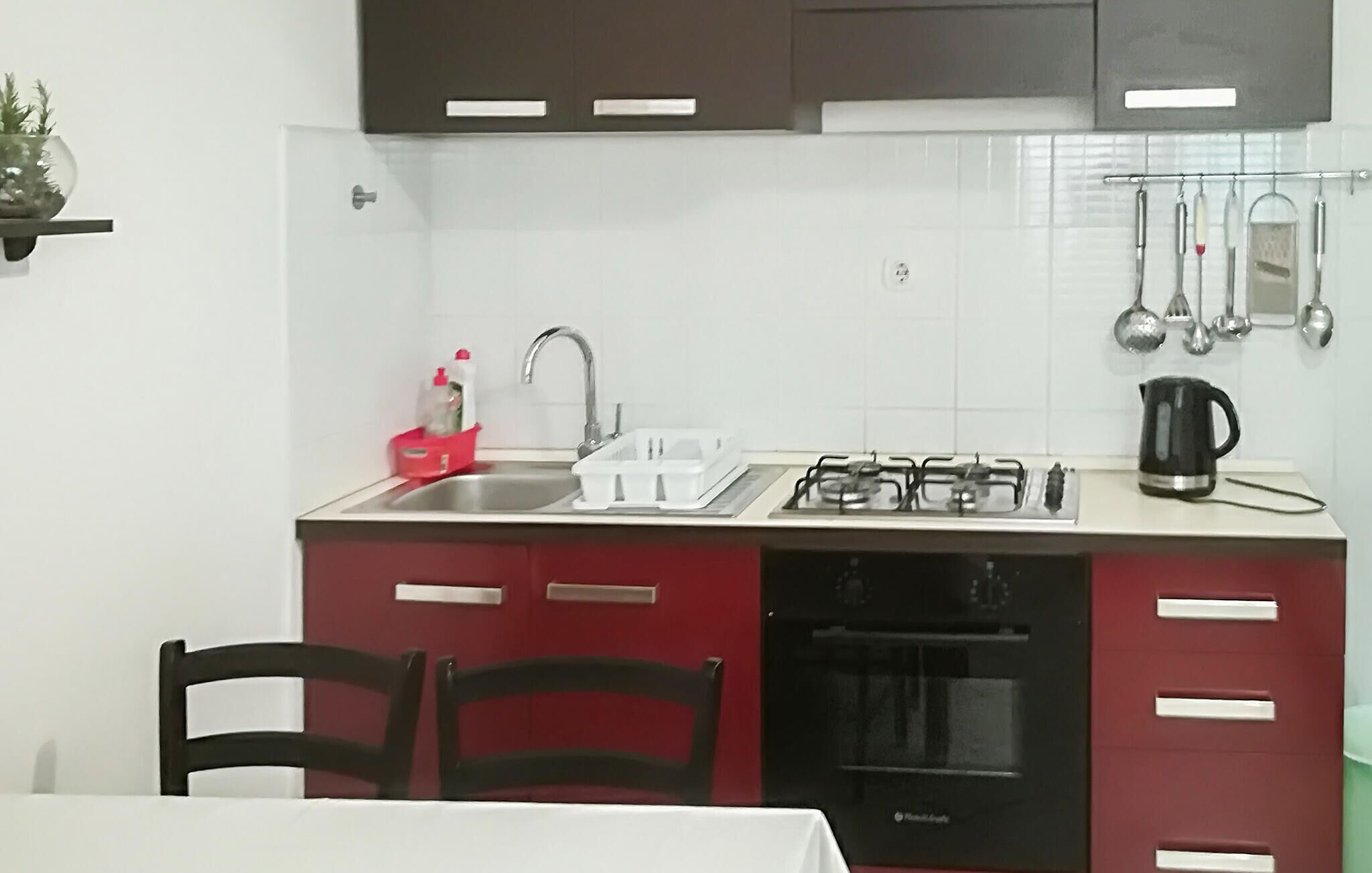 A compact kitchen with a sink, stove, and oven. There are cabinets with handles, a kettle, and a plant on the wall.