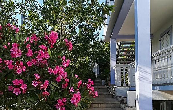 تفاصيل الفندق من الخارج