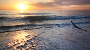 Una spiaggia con onde e un uccello che vola sull'acqua.