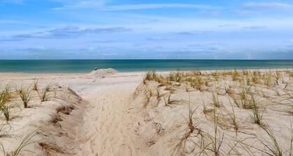 Coastal dog friendly condo with observation deck best Gulf sunset views