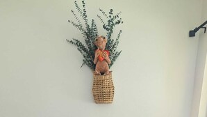Two orange armchairs, a woven basket with a plush toy, and a green leafy wall decoration in a room with tiled flooring. - Magical World (Davenport)