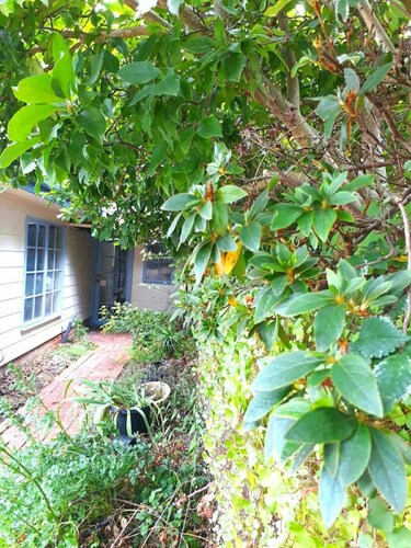 Magnolia Cottage- wineries, main street, station